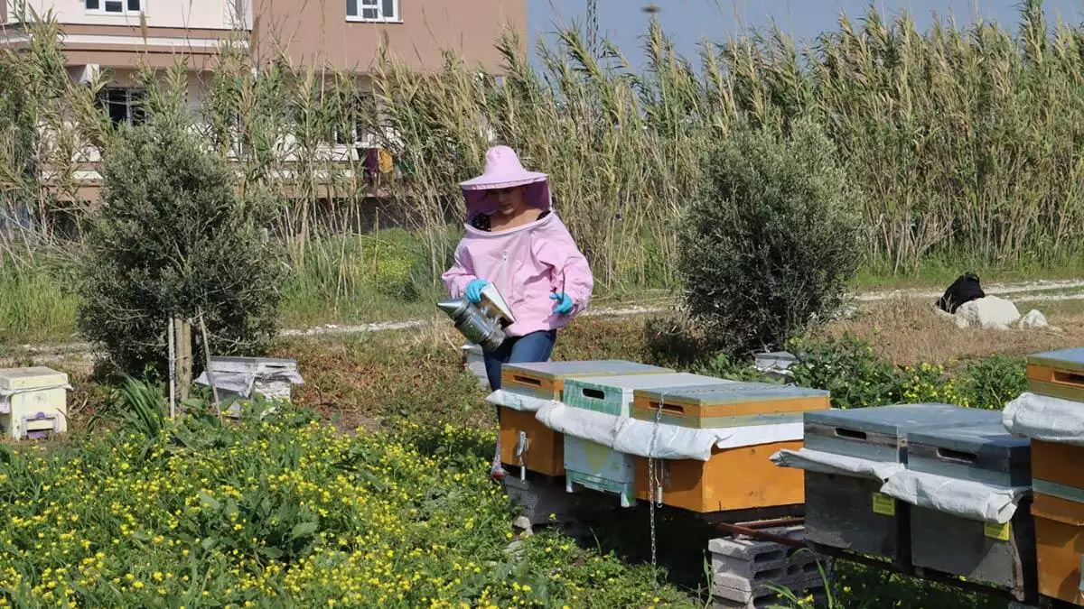 Tarım ve kırsal kalkınmayı destekleme kurumu'ndan aldığı proje desteği ile kovan sayısını 60'a çıkaran yırtıcı, pandemi döneminde taleplere yetişmeye çalıştığını ve kovan sayısını artırmayı hedeflediğini söyledi.