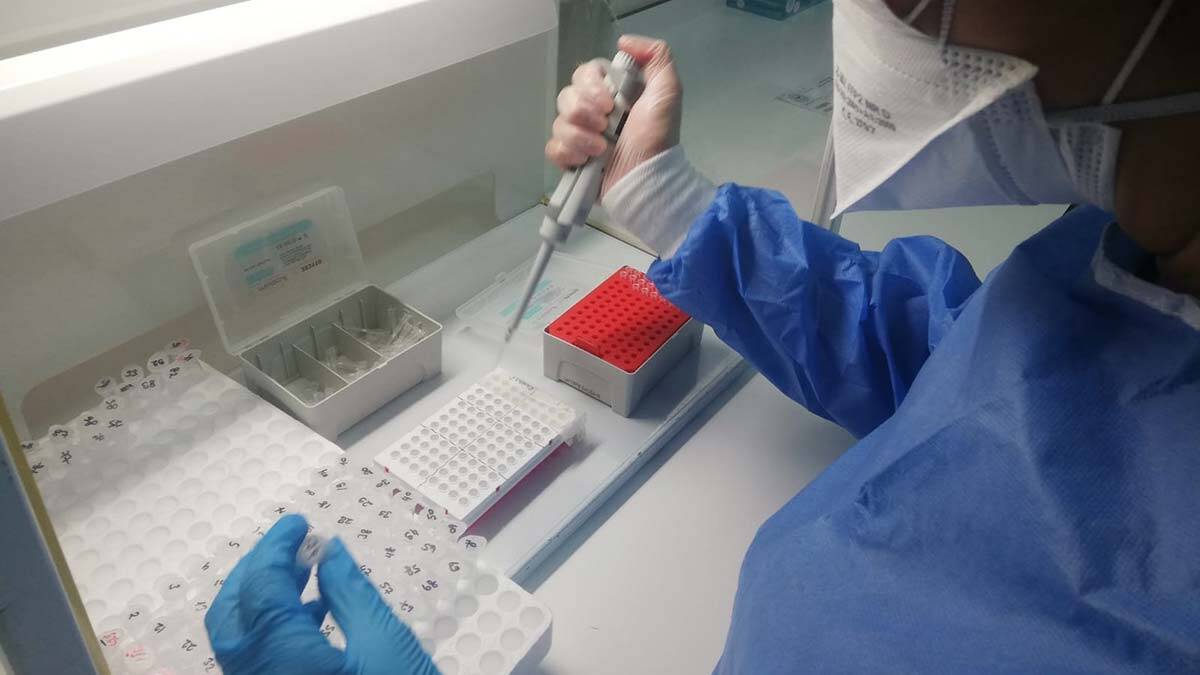 Covid-19 tanılarının yüzde 95'i İngiltere mutasyonu