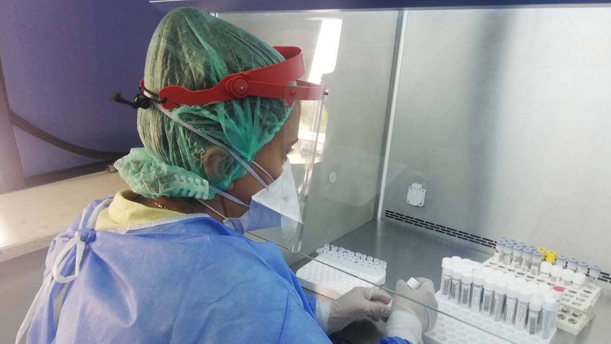 Ankara'da Dışkapı Yıldırım Beyazıt Eğitim ve Araştırma Hastanesi'ne bağlı Covid-19 Tanı Laboratuvarı'nda Covid-19 tanılarının yüzde 95'i İngiltere mutasyonu.