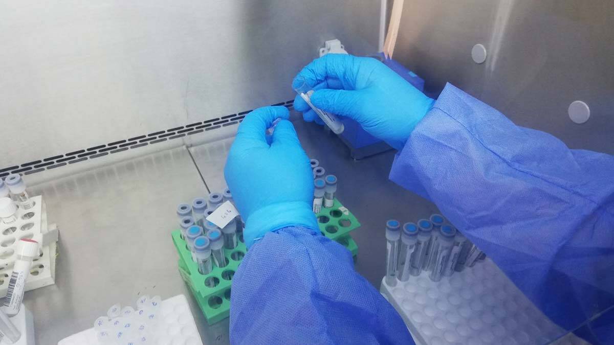 Şubat ayına göre, günlük gelen numune sayısı, 4 kat artarak, 8 binlere yükseldi. Görüntülenen laboratuvarda, tanı konulan numunelerin yüzde 95'ini İngiltere mutasyonu oluşturuyor.