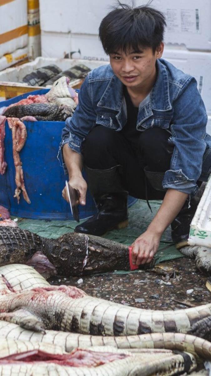 Canlı hayvan pazarlarını kapatın