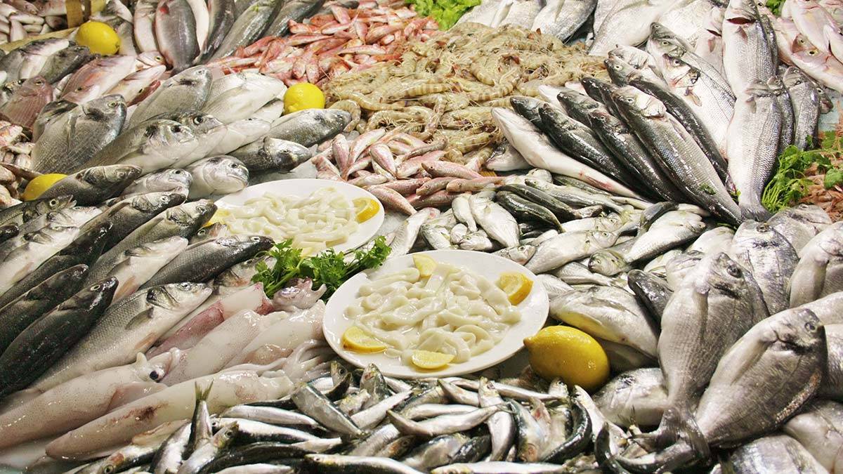 DSÖ dünya genelinde tüketiminin artması için haftada 2-3 öğün balık tüketimini önerirken, BM, 2022 yılı Balıkçılık ve Su Ürünleri Yılı ilan etti.