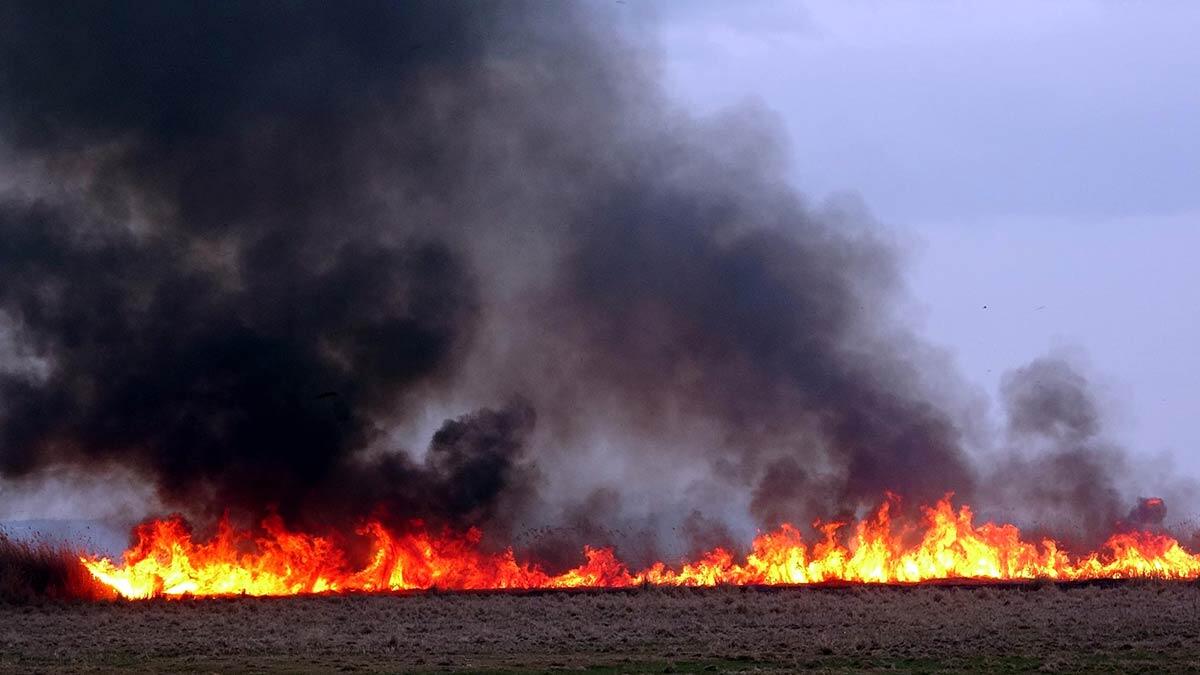 Van Erciş'te sazlık yangını itfaiye ekibinin müdahalesiyle 2 saatte söndürüldü. Mahalleli, alanda çok sayıda kuş türü ve yuvasının olduğunu söyledi.