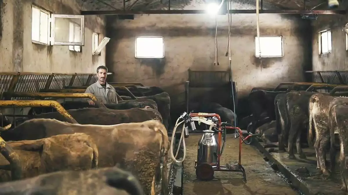 Erzurum ticaret borsası'nın (etb) yürütücülüğünü yaptığı soğuk zincir süt projesi üreticilerin yüzünü güldürdü.
