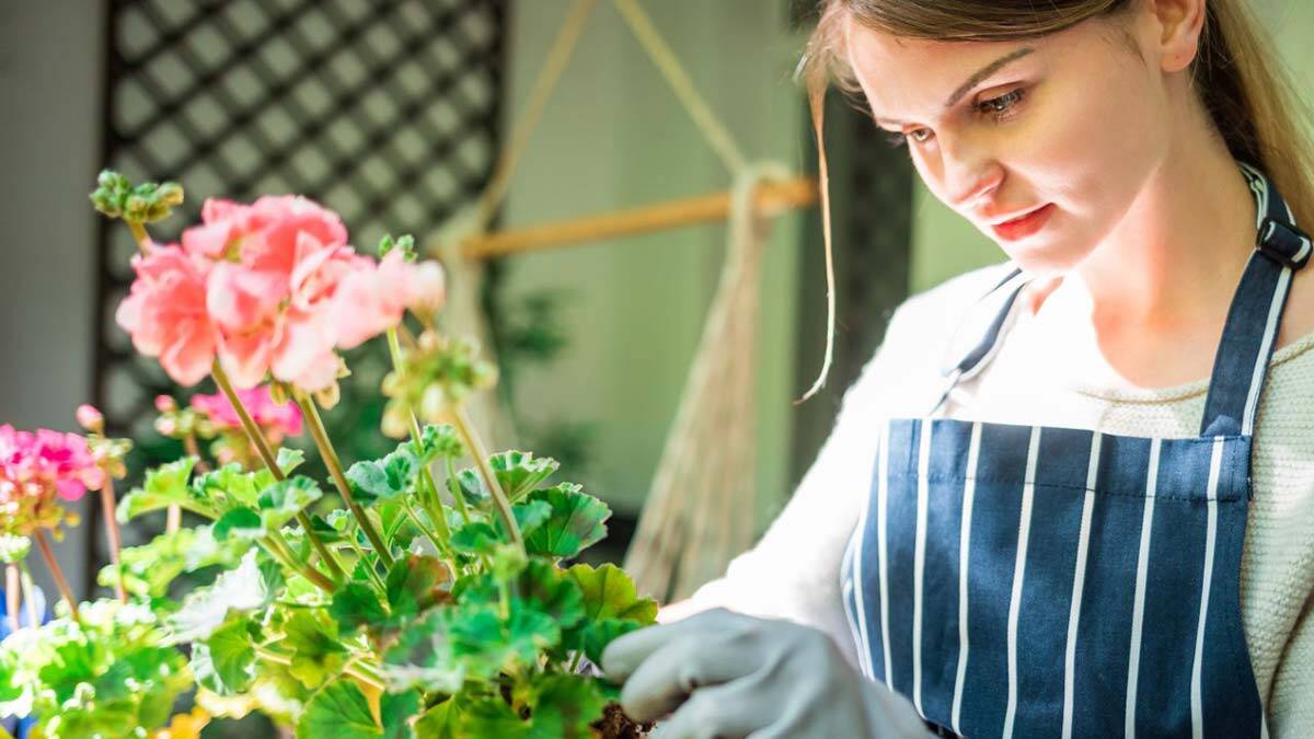 Evde bitki yetiştirmek isteyenlere 5 öneri