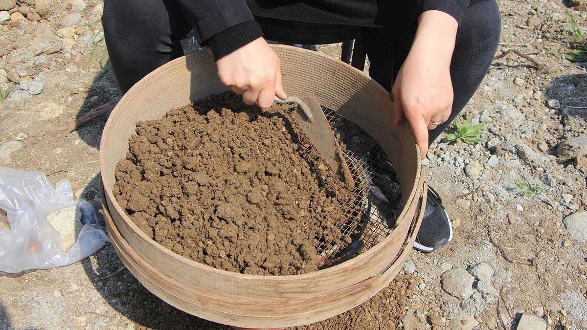 Samsun’da, Amisos Antik Kenti'nde toprak kayması sonucu ortaya çıkan, oygu mezarda kurtarma kazısı başlatıldı. 