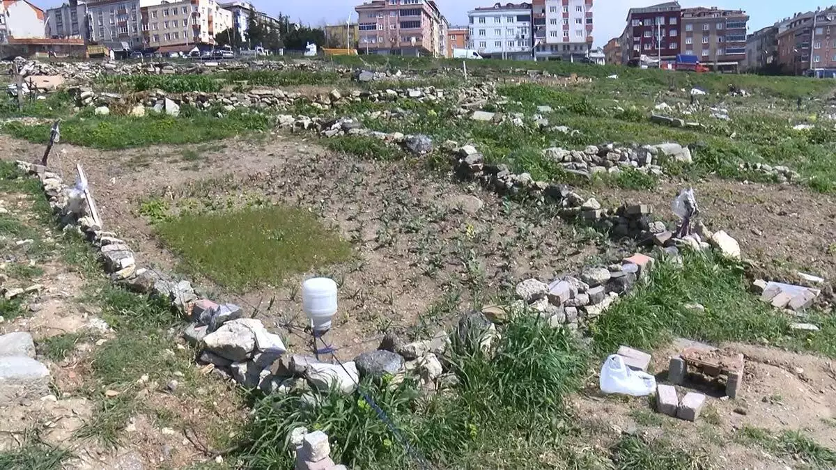 Sultangazi'de sanayi sitesi ve binalar arasında kalan yeşil alan koronavirüs döneminde mahalle sakinlerince hobi bahçesine dönüştürüldü.