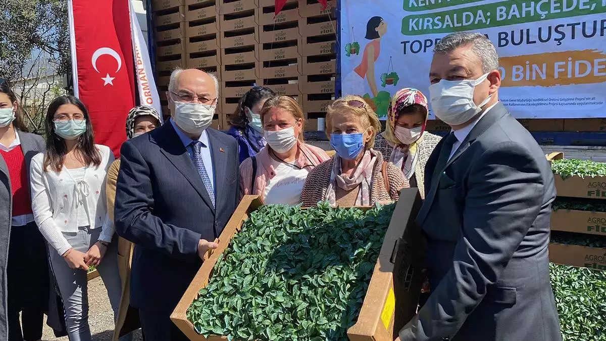 İzmir'de 15 bin kadına 320 bin sebze fidesi