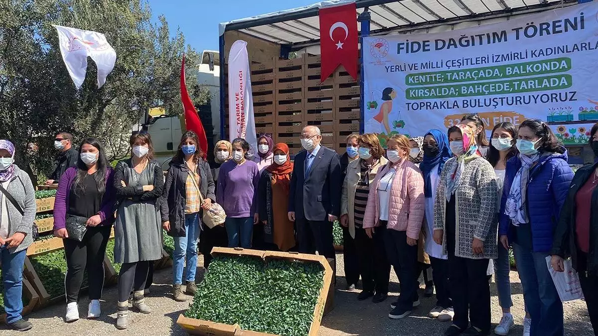 İzmir'de 15 bin kadına, toplam 320 bin sebze domates, biber, patlıcan ve salatalık fidesi dağıtılmaya başlandı.