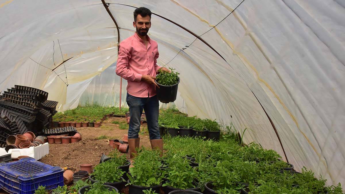 Bölgedeki çiftçilerin kendi aracılıyla ürünü yeni yeni tanımaya başladığını belirten Karaman, "Tanıtımını yapıyorum, ne işe yaradığını nasıl bir getirisi olduğunu, diğer ürünlere alternatif bir ürün olduğunu görüyorlar. Bölge çiftçisi, bu ürünle daha fazla gelir elde edecek" dedi.