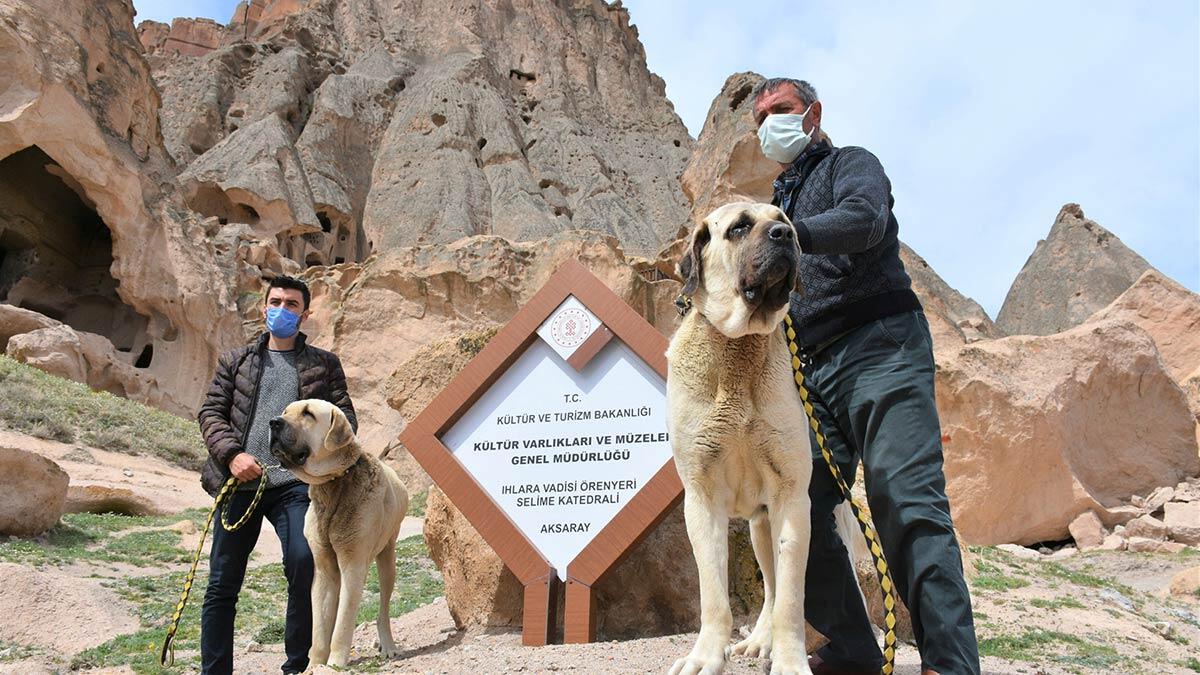 Ukrayna’nın başkenti Kiev’den Nevşehir’e direkt uçak seferlerinin başlamasıyla birlikte Kapadokya’nın başlangıç noktası olan Ihlara Vadisi'ndeki Selime Katedrali'ne ilgi arttı.