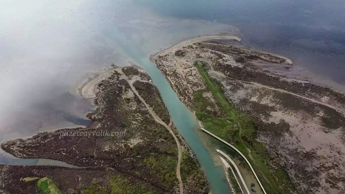 Karakoç deresi'nde 175 kuş türü gözlemlendi