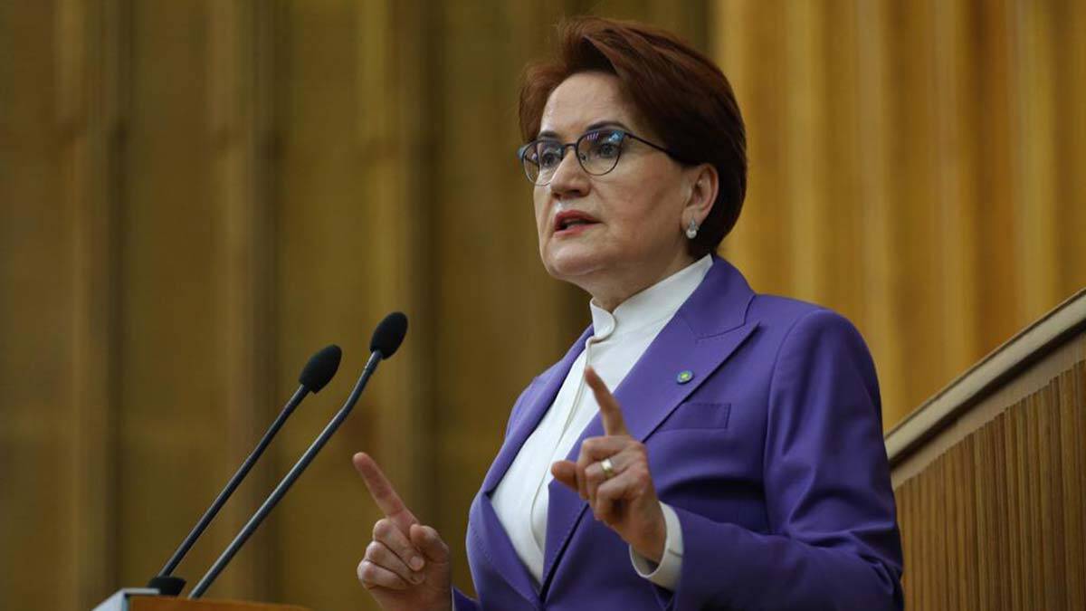 Soykırım açıklaması milletimizi derinden yaraladı