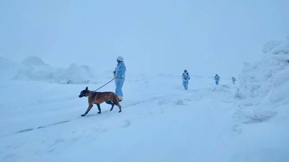 Paylaşımda ayrıca keşif ve devriye faaliyetlerinden fotoğraflara yer verildi.