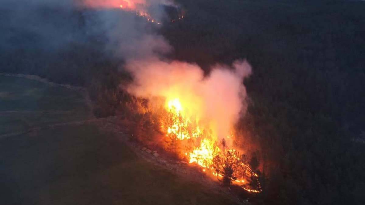 Orman yangınlarında sabotaj şüphesi