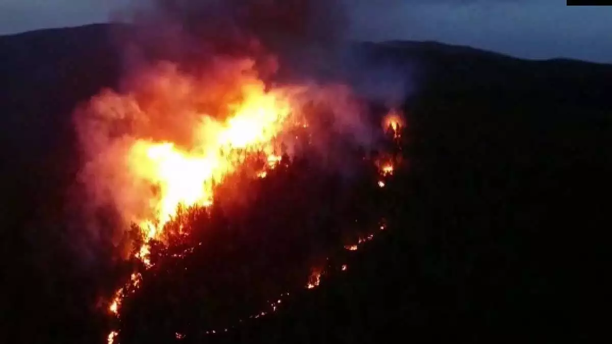 Muğla'nın menteşe ve kavaklıdere ilçelerinde toplam 29 hektar alanın zarar gördüğü orman yangınlarında sabotaj ihtimali üzerine soruşturma başlatıldı.