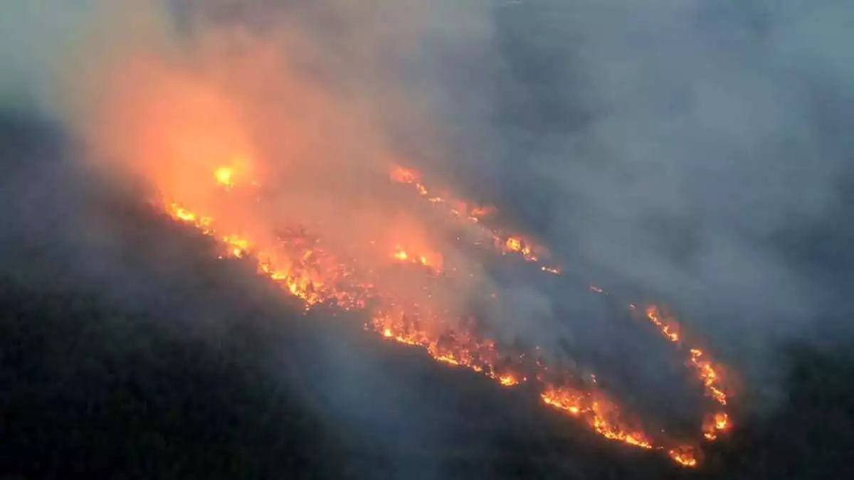 Orman yangınlarında sabotaj şüphesi