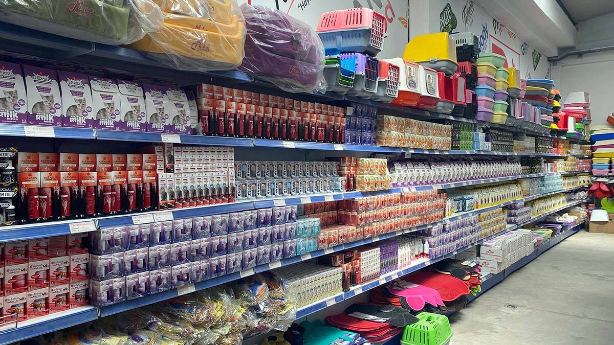 Evcil hayvan sahiplenme oranı arttı