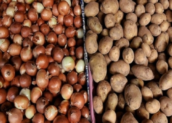 Üreticilerden patates ve kuru soğan alımına başlandı