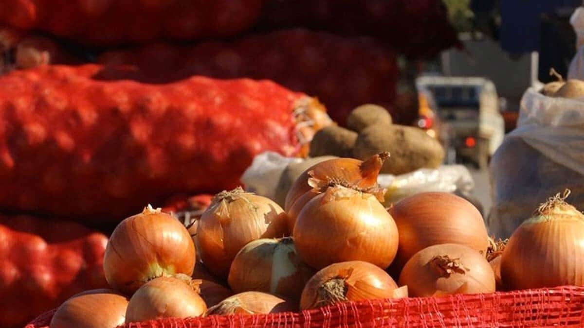 TMO'nun patates ve soğan alması doğru bir karar