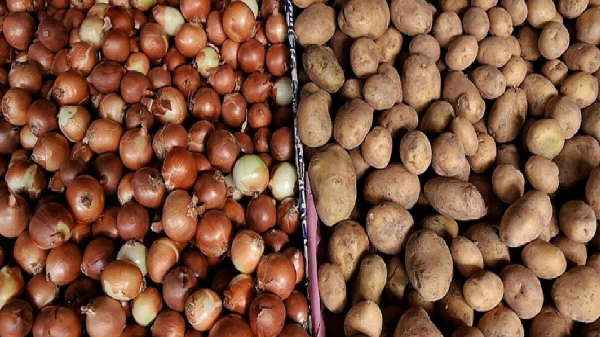 Üreticilerden patates ve kuru soğan alımına başlandı