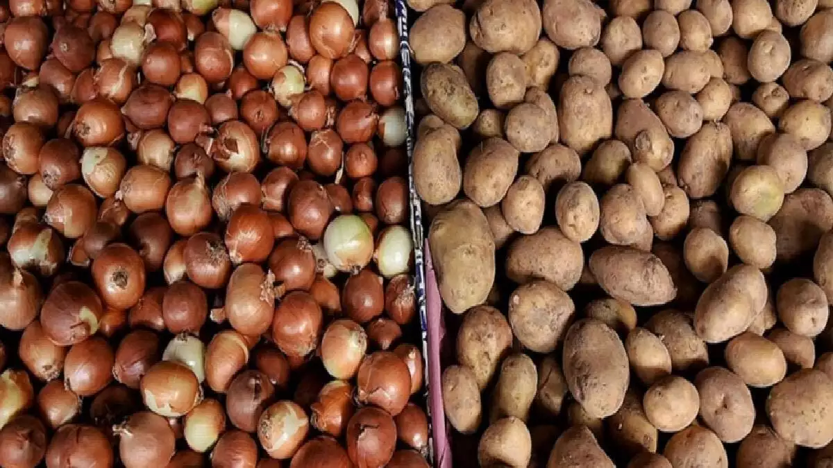 Üreticilerden patates ve kuru soğan alımına başlandı