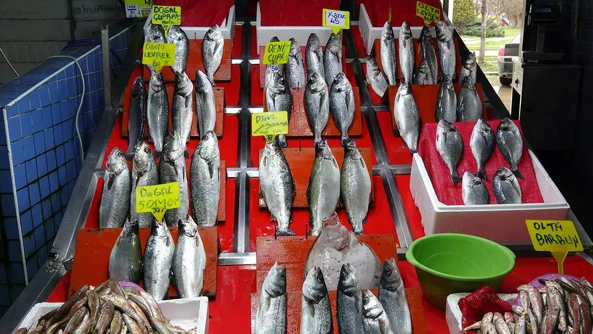 Samsun’da, yaklaşan denizlerde av yasağı öncesi tezgahlarda en fazla yer bulan mezgit, barbun ve somon balıkları yoğun talep görüyor.