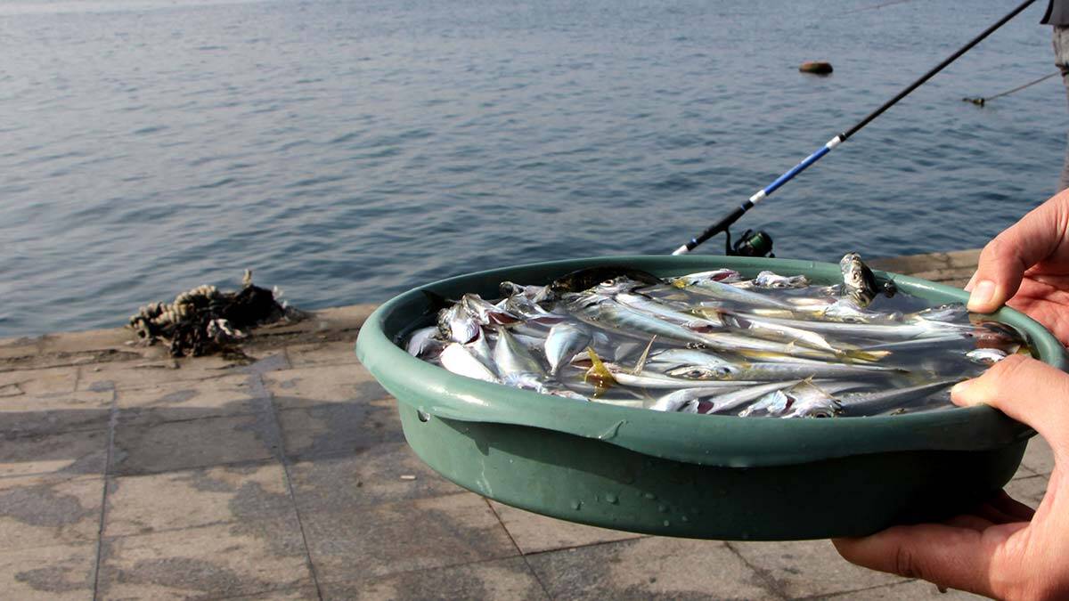 Beşiktaş sahilinde son balıklarını tuttular