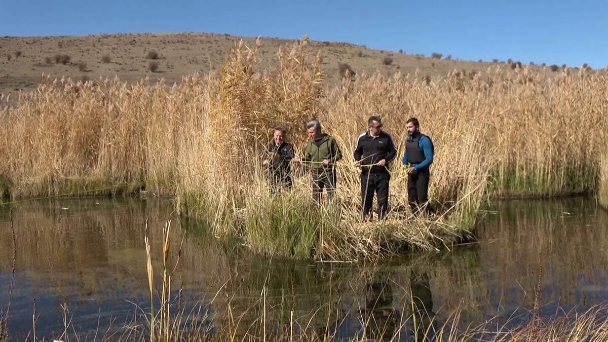 Zökün Gölü'ndeki yüzen ada turizmi