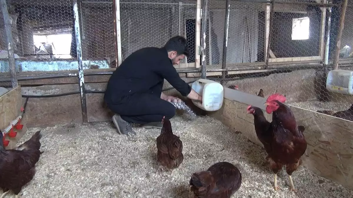 Eyüp ve yusuf gökhan kardeşler, evlerinde zaman geçirmek için hobi amacıyla kuluçka makinesi ile civciv yetiştirip yumurta üretimine başladı.