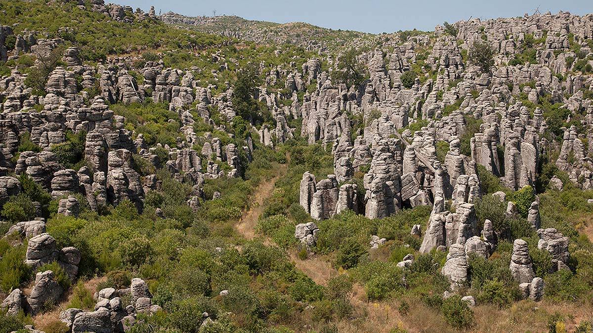Antalya'da tarihin en büyük orman yangınlarından, 2008'deki Manavgat Taşağıl yangınında 16 bin hektar orman, küle döndü.