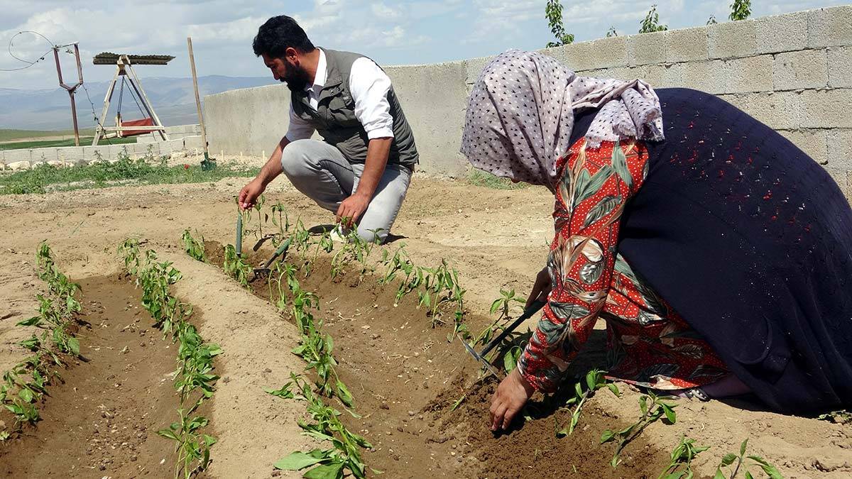 2 üniversite bitirip, 81 kenti gezdiler şimdi çiftçiler
