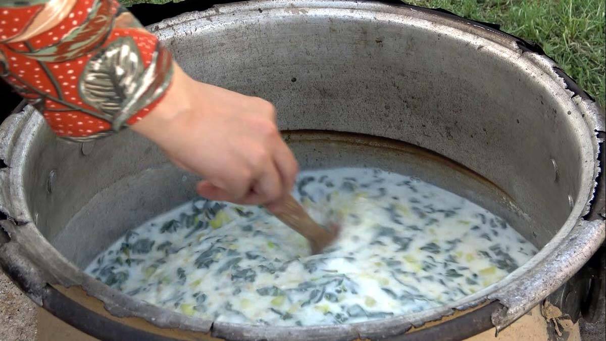 2 üniversite bitirip, 81 kenti gezdiler şimdi çiftçiler