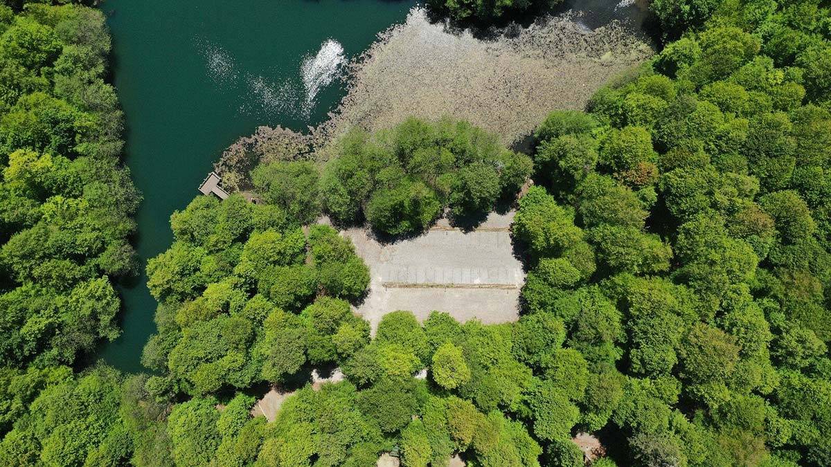 Fransa büyüklüğünde ormanlık alan büyüdü