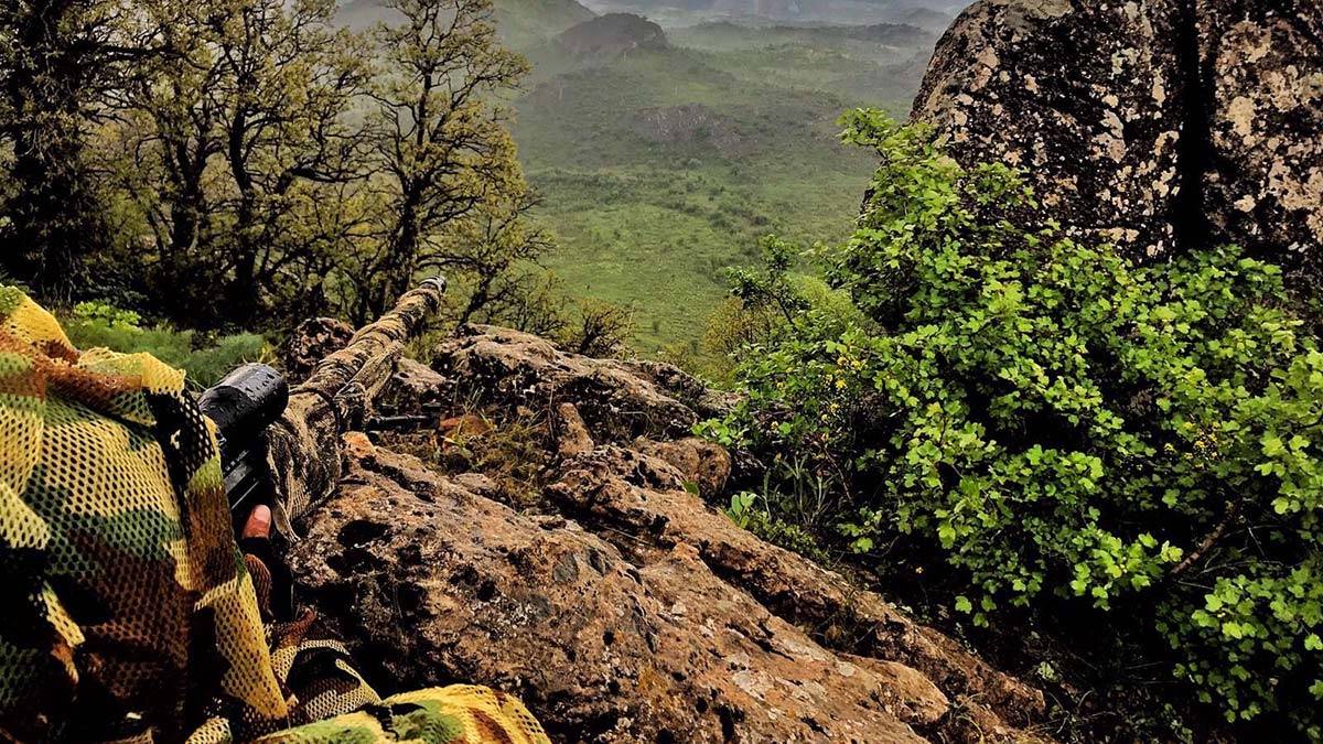 Pençe operasyonlarında 111 terörist etkisiz