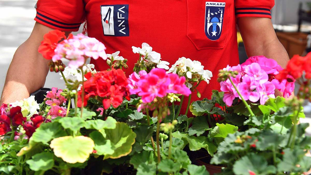 ANFA Bitki Evi yazı rengarenk karşılıyor