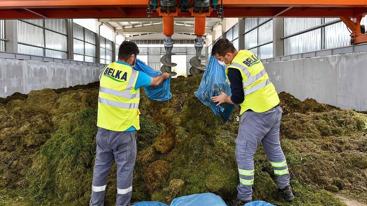 Ankara Büyükşehir Belediyesi iştiraki BELKA A.Ş, park ve bahçelerde biçilen çimlerden organik gübre üretmeyi başardı.