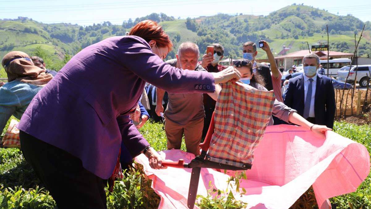 AKŞENER; HELAL PARAYA İHTİYAÇ DUYDUĞUNDA BANA MAHKEME AÇIYOR