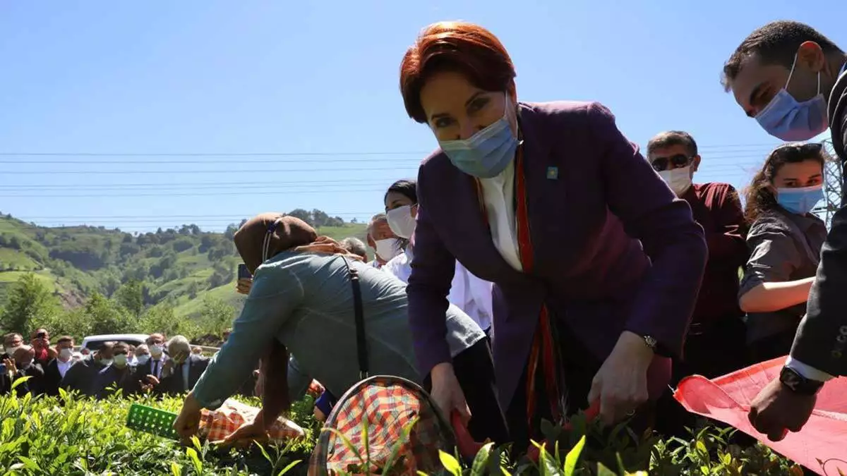 İyi̇ parti genel başkanı meral akşener, rize ziyaretinde i̇kizdere’de esnafla buluştu. Ardından i̇şkencedere vadisi köy halkını ziyaret eden akşener, burada gazetecilerin sorularını cevaplandırdı.