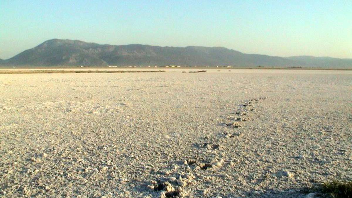Türkiye Tabiatını Koruma Derneği (TTKD) bilim danışmanı Dr. Erol Kesici, "Acıgöl'ü kurutma havuzları yok ediyor" dedi.