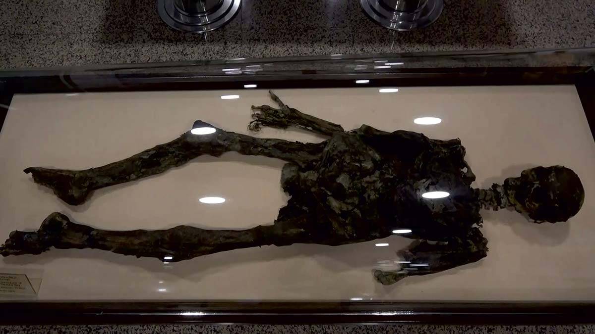 Amasya Müzesi'ndeki mumyalara özel muhafaza 