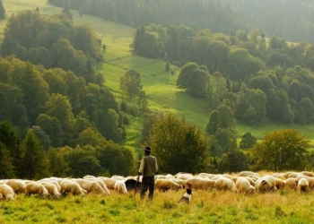 Her insan bir Anadolu değil midir?