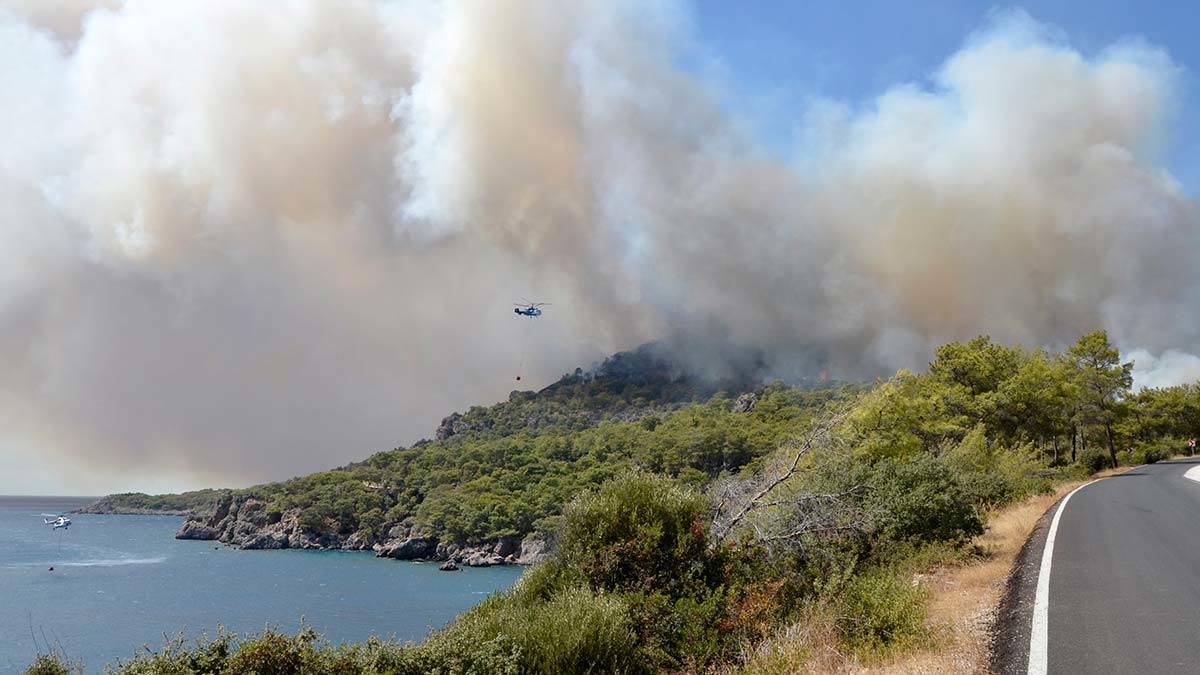 Antalya'da 3 günde 22 yangında 80 dekar kül oldu