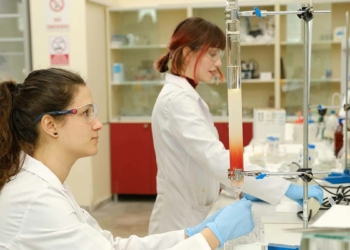 Staj olanakları fazla olan bir üniversite seçin
