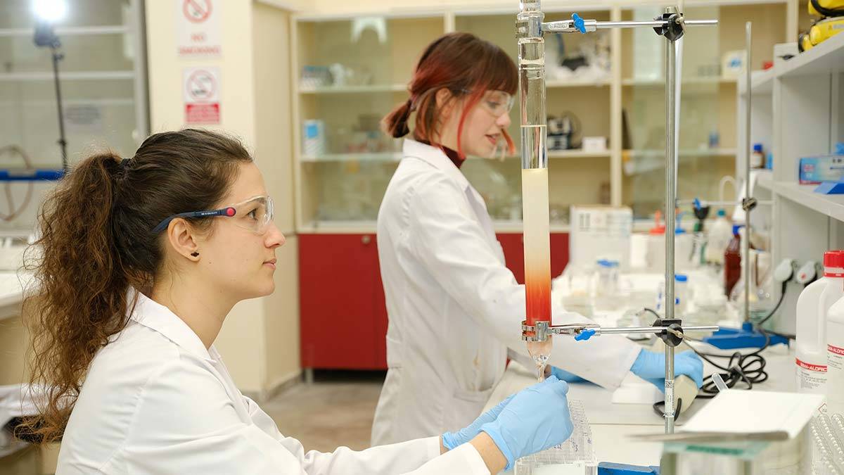 Staj olanakları fazla olan bir üniversite seçin