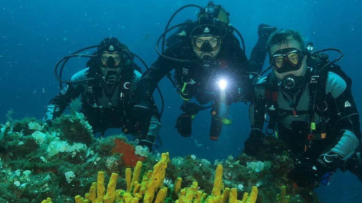 Türkiye’de kırmızı mercanların büyük resifler halinde bulunduğu Ayvalık'taki dalış tekneleri, ilerleyen günlerde başlayacak kontrollü normalleşme süreciyle birlikte sualtı tutkunları için hazırlıklarını tamamladı.