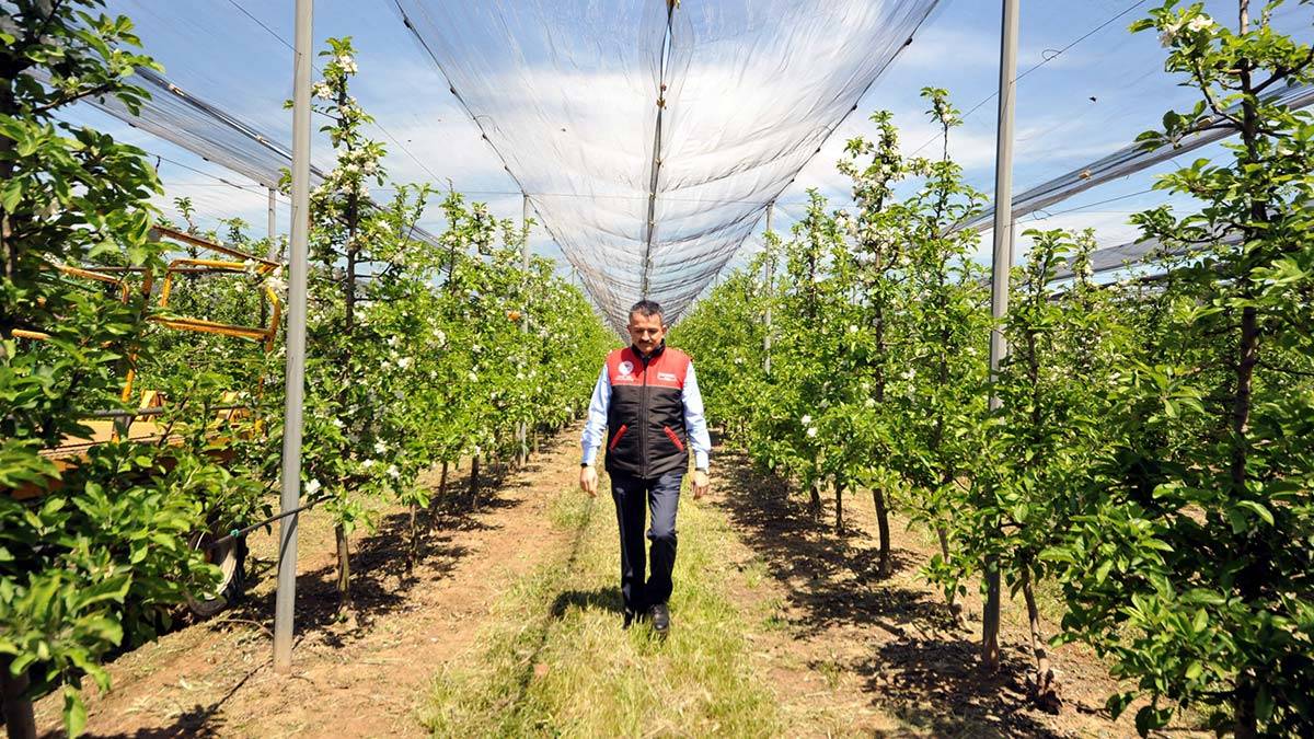 Tarım ve Orman Bakanı Bekir Pakdemirli, bayram öncesi üreticilere toplam 1 milyar 524 milyon 264 bin 577 lira destek ödemesi yapılacağını açıkladı.
