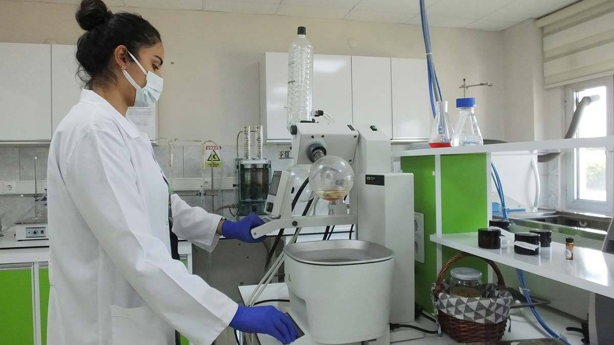 Balıkesir Büyükşehir Belediyesi bünyesindeki Balıkesir Çiftçi Eğitim Merkezinde (BAÇEM) yetiştirilen 30 çeşit bitkiden 60 renk kök boya elde edildi.