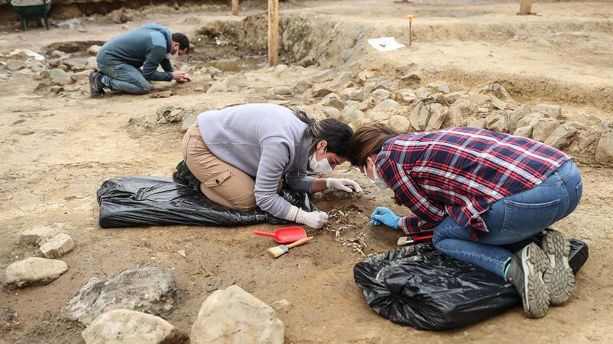 Dünya göç haritasını değiştirebilecek bulgular