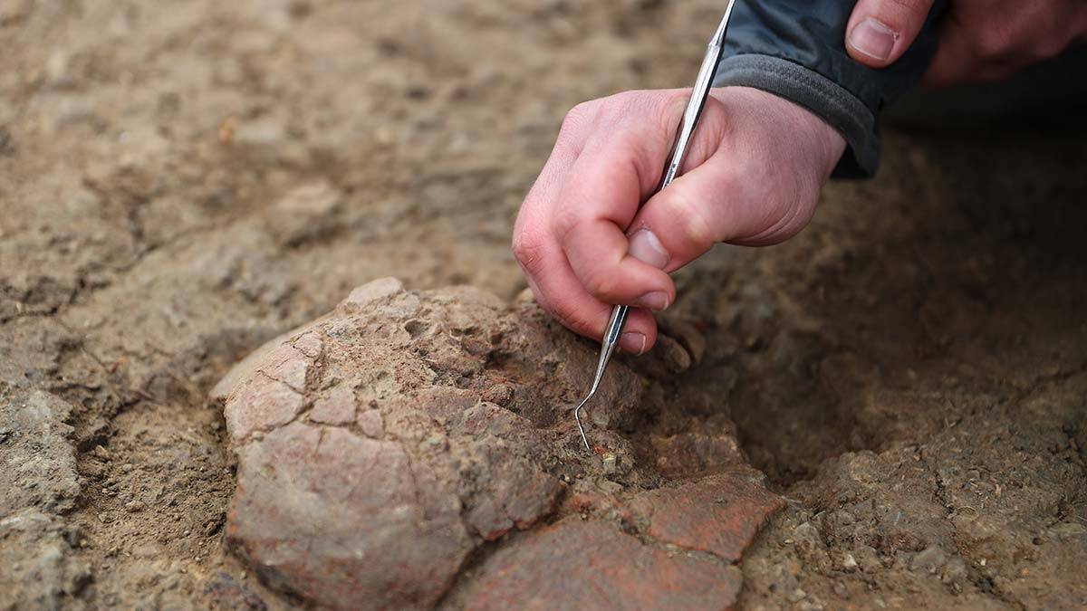 Dünya göç haritasını değiştirebilecek bulgular